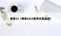 黑客11（黑客1618紫萼长茄品种）