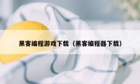 黑客编程游戏下载（黑客编程器下载）