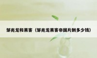 邹兆龙和黑客（邹兆龙黑客帝国片酬多少钱）