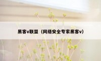 黑客v联盟（网络安全专家黑客v）