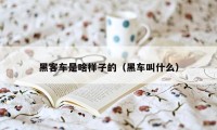 黑客车是啥样子的（黑车叫什么）