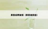 黑客应聘被拒（黑客被辞退）