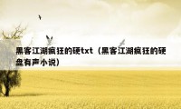 黑客江湖疯狂的硬txt（黑客江湖疯狂的硬盘有声小说）