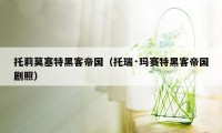 托莉莫塞特黑客帝国（托瑞·玛赛特黑客帝国剧照）