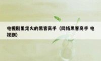 电视剧里走火的黑客高手（网络黑客高手 电视剧）