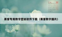 黑客专用数字壁纸软件下载（黑客数字图片）