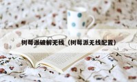 树莓派破解无线（树莓派无线配置）