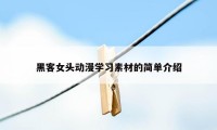 黑客女头动漫学习素材的简单介绍