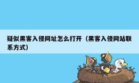 疑似黑客入侵网址怎么打开（黑客入侵网站联系方式）