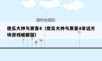 傻瓜大神与黑客4（傻瓜大神与黑客4幸运方块游戏破解版）