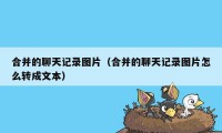 合并的聊天记录图片（合并的聊天记录图片怎么转成文本）