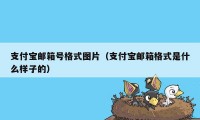 支付宝邮箱号格式图片（支付宝邮箱格式是什么样子的）