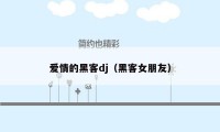 爱情的黑客dj（黑客女朋友）