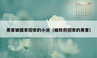 黑客被国家招安的小说（被政府招安的黑客）