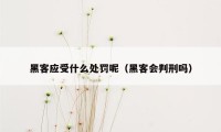 黑客应受什么处罚呢（黑客会判刑吗）