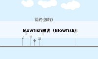 blowfish黑客（Blowfish）