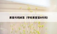 黑客代码掉落（学校黑客装B代码）