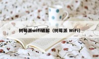 树莓派wifi破解（树莓派 WiFi）