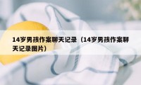 14岁男孩作案聊天记录（14岁男孩作案聊天记录图片）