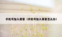 手机号加入黑客（手机号加入黑客怎么办）