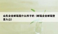 山东企业邮箱是什么样子的（邮箱企业邮箱登录入口）