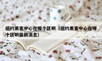 纽约黑客中心在哪个区啊（纽约黑客中心在哪个区啊最新消息）