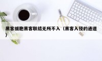 黑客细胞黑客联结无所不入（黑客入侵的通道）