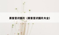 黑客意识图片（黑客意识图片大全）