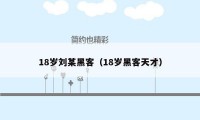 18岁刘某黑客（18岁黑客天才）