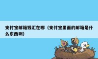 支付宝邮箱钱汇在哪（支付宝里面的邮箱是什么东西啊）