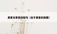 黑客文章摘抄短句（关于黑客的摘要）