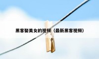 黑客娶美女的视频（最新黑客视频）