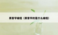 黑客学编程（黑客学的是什么编程）