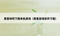 黑客如何下载单机游戏（黑客游戏软件下载）