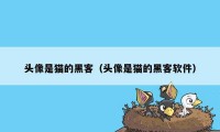 头像是猫的黑客（头像是猫的黑客软件）