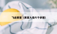 飞进黑客（黑客入侵六个步骤）