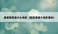 黑客西蒙是什么电影（西蒙是哪个电影里的）