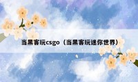 当黑客玩csgo（当黑客玩迷你世界）