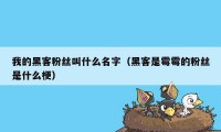 我的黑客粉丝叫什么名字（黑客是霉霉的粉丝是什么梗）