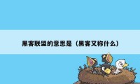 黑客联盟的意思是（黑客又称什么）