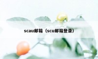 scau邮箱（scu邮箱登录）