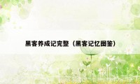 黑客养成记完整（黑客记忆图鉴）