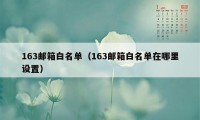 163邮箱白名单（163邮箱白名单在哪里设置）