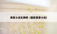 黑客小说无弹网（最新黑客小说）