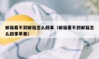 邮箱看不到邮箱怎么回事（邮箱看不到邮箱怎么回事苹果）