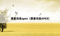 黑客攻击apex（黑客攻击APEX）