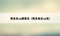 男主无cp黑客文（男主角无cp文）