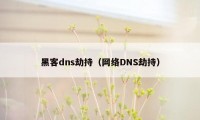 黑客dns劫持（网络DNS劫持）