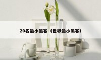 20名最小黑客（世界最小黑客）