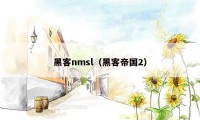 黑客nmsl（黑客帝国2）